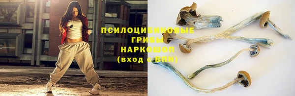 ГАЛЛЮЦИНОГЕННЫЕ ГРИБЫ Вязники