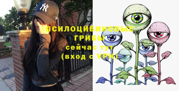 соль ск Володарск