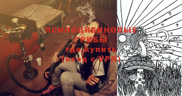 дживик Вязьма