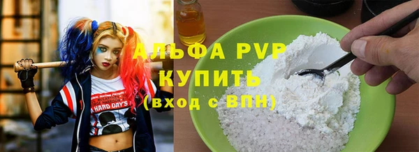стаф Вяземский