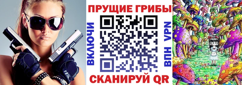 Галлюциногенные грибы Psilocybe  Купить закладки  Кыштым 